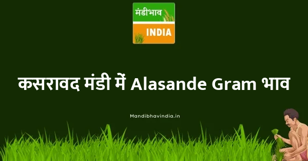 Alasande Gram भाव